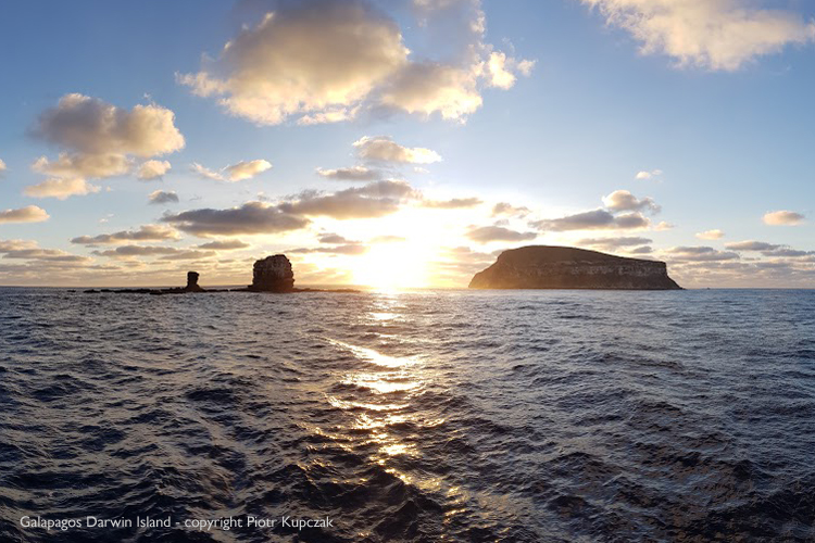 Galpagos, Darwin Island